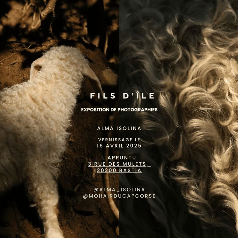 Exposition Alma Isolina — vue principale