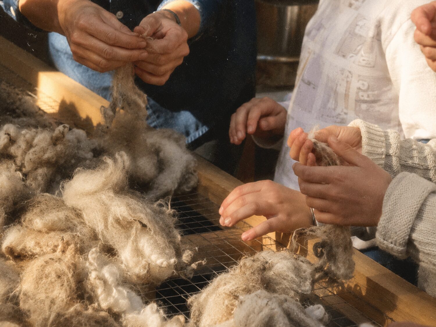 Tri du mohair à la main