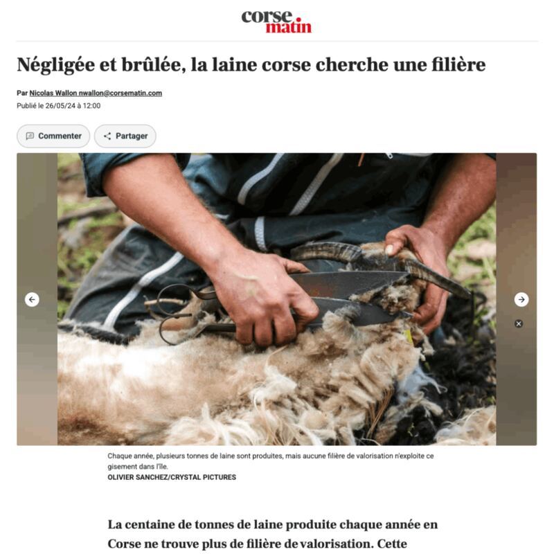 Article Corse Matin 2024