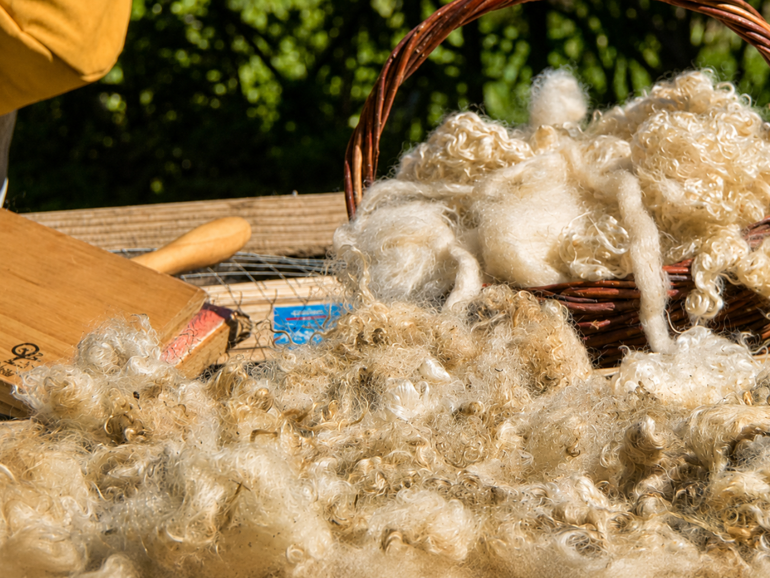 Mohair et outils de transformation de la laine
