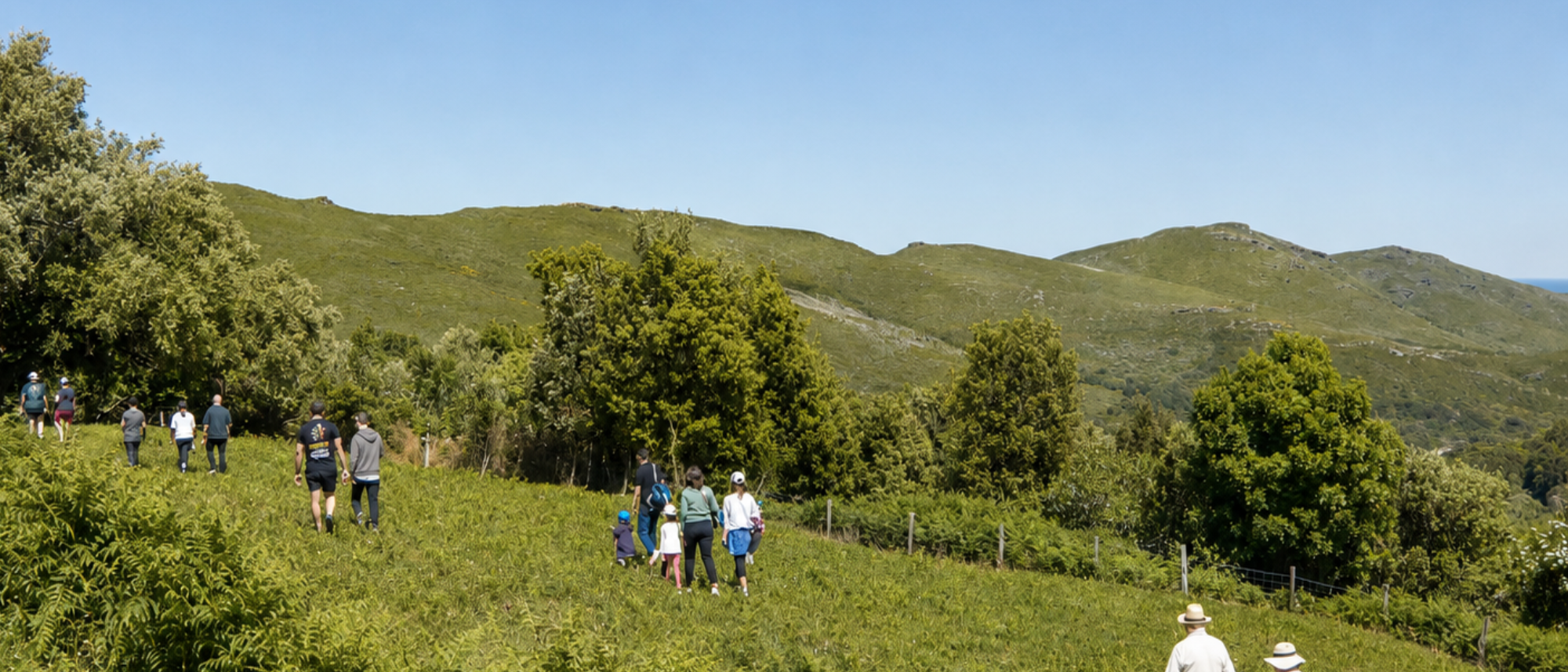 La vallée de Sisco