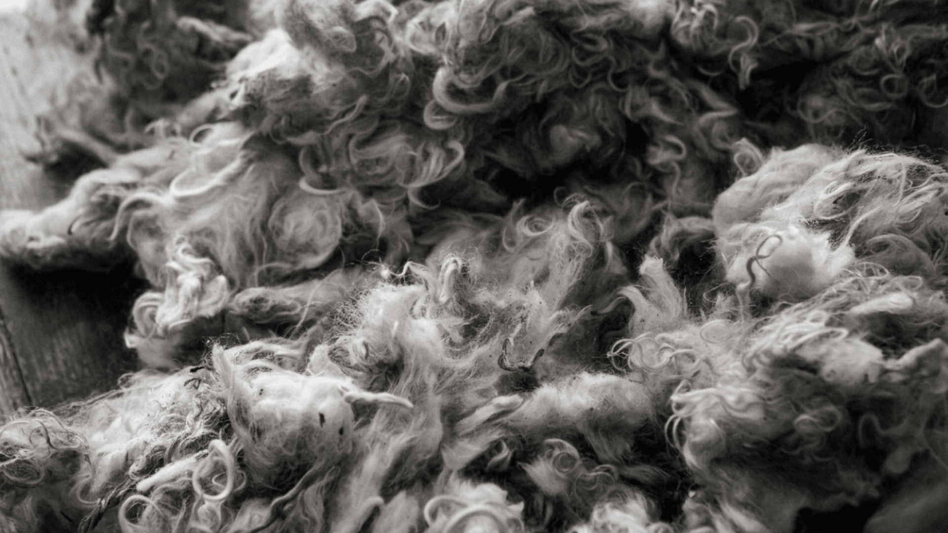 Toison de mohair